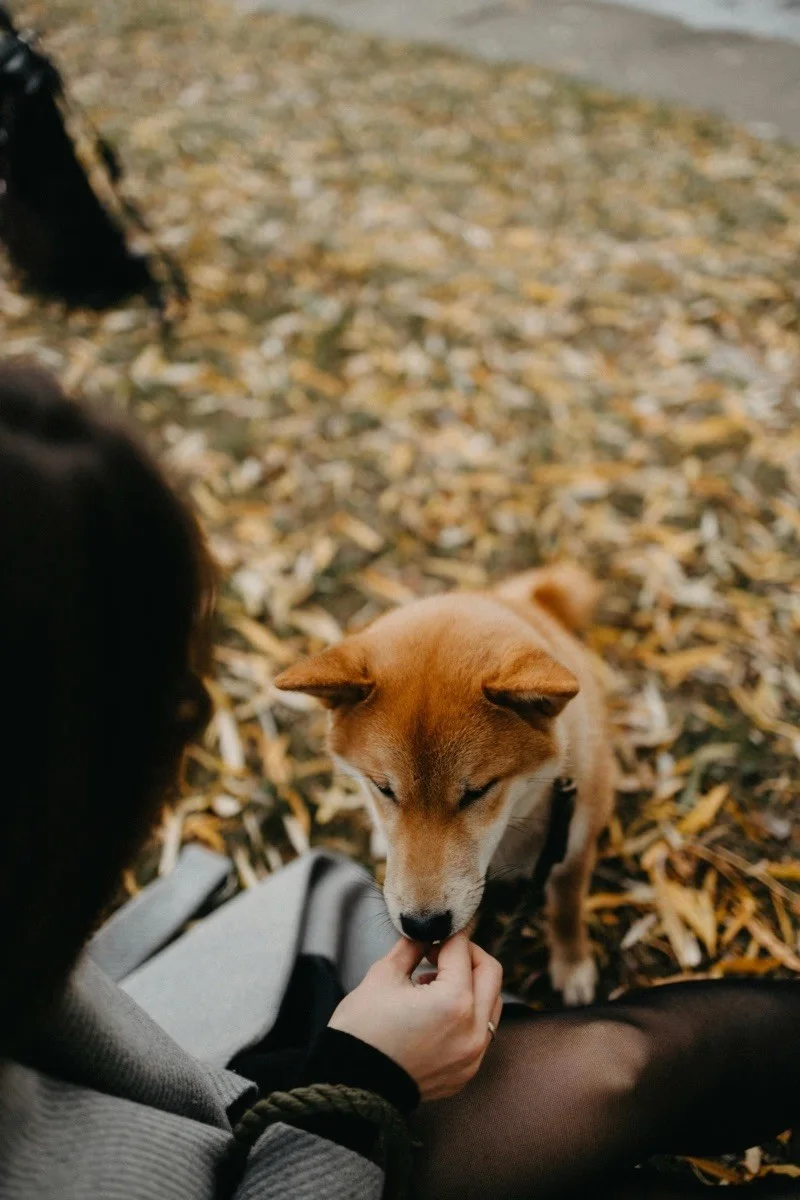Annie and her dog Star — photograph 4